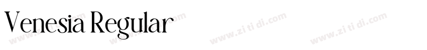 Venesia Regular字体转换
